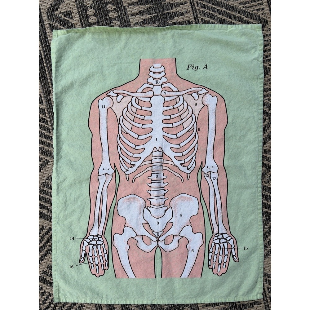 Life of Jay Green Skeleton Anatomy 100% Cotton Dish Hand Tea Towel Kitchen Decor